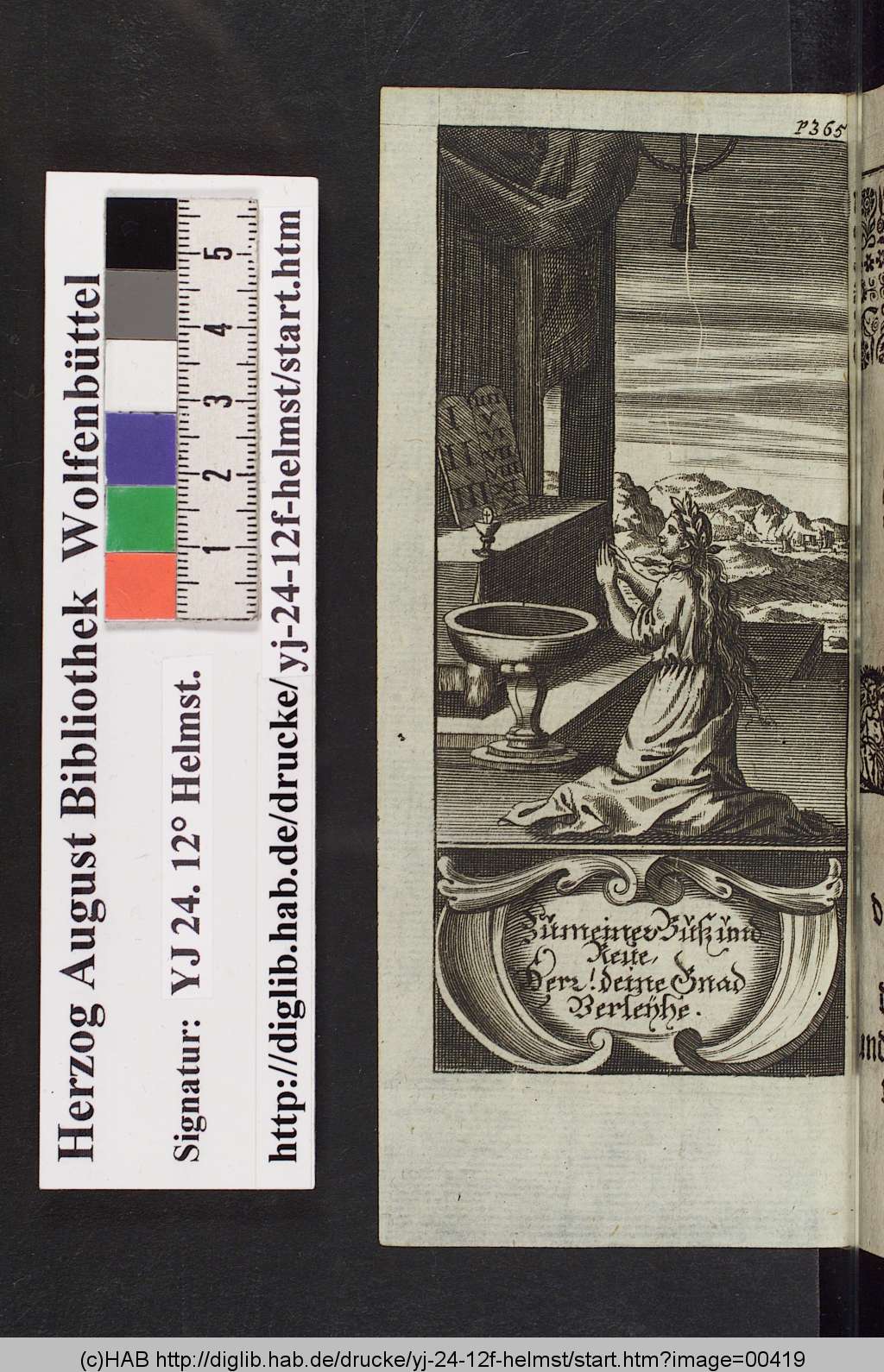 http://diglib.hab.de/drucke/yj-24-12f-helmst/00419.jpg