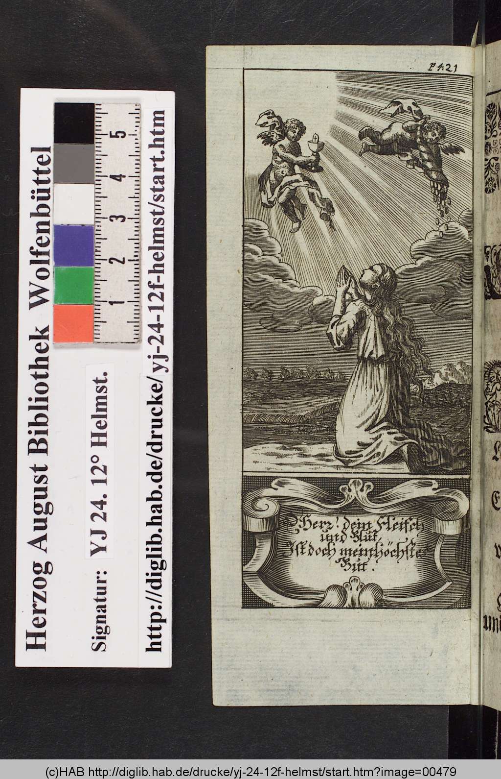 http://diglib.hab.de/drucke/yj-24-12f-helmst/00479.jpg