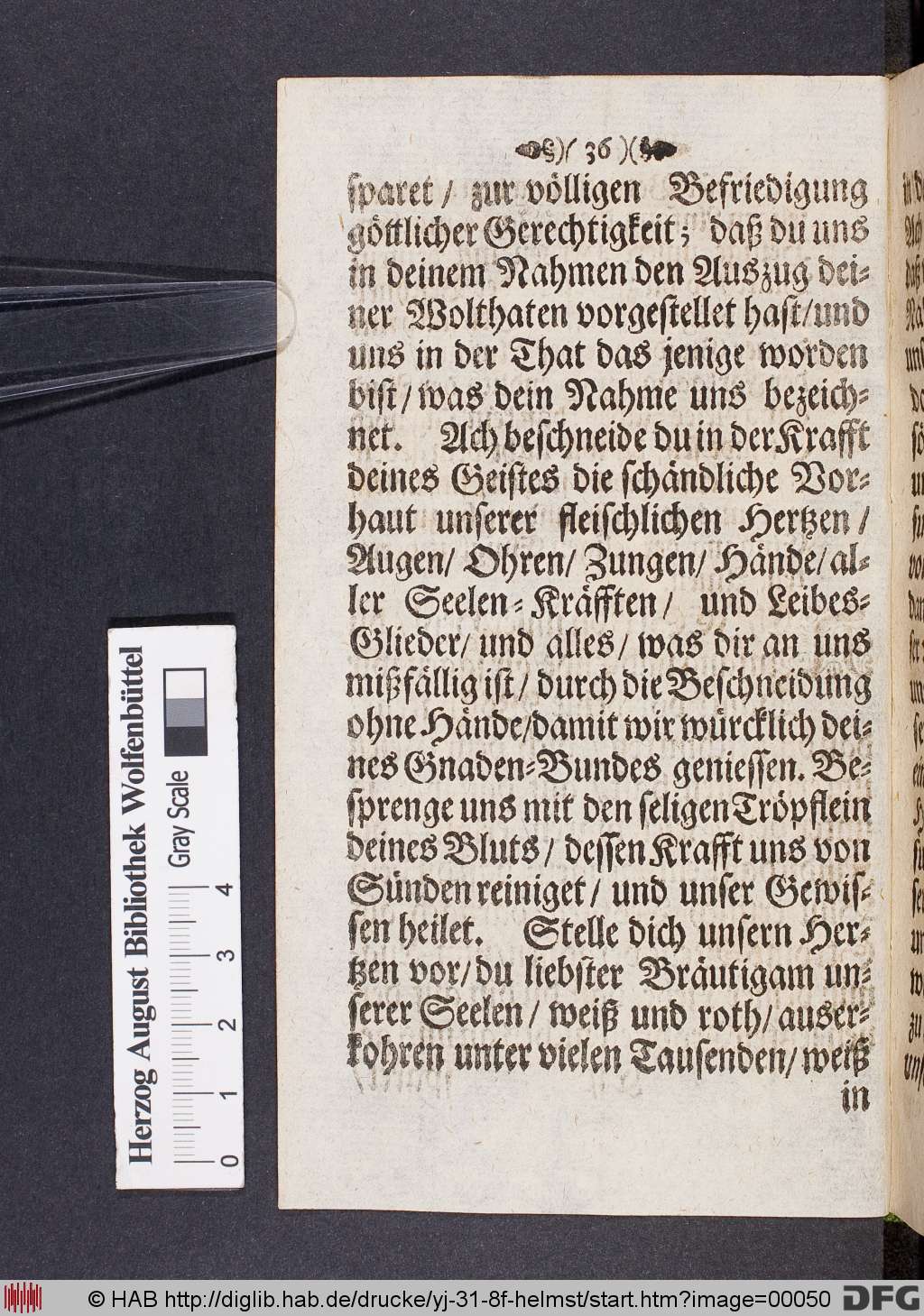 http://diglib.hab.de/drucke/yj-31-8f-helmst/00050.jpg