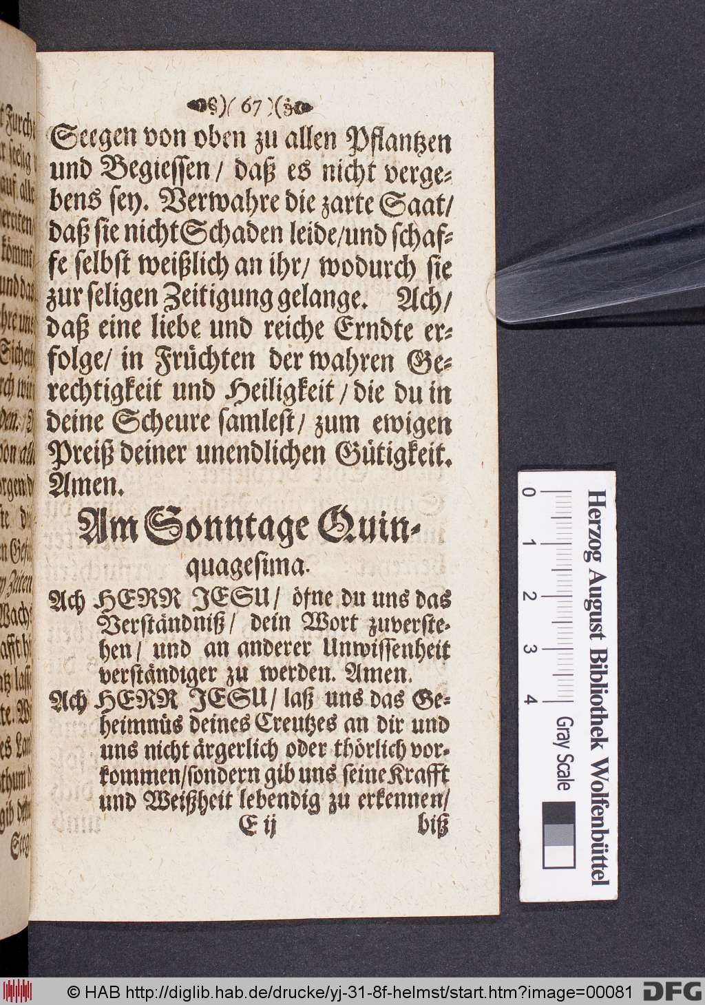 http://diglib.hab.de/drucke/yj-31-8f-helmst/00081.jpg