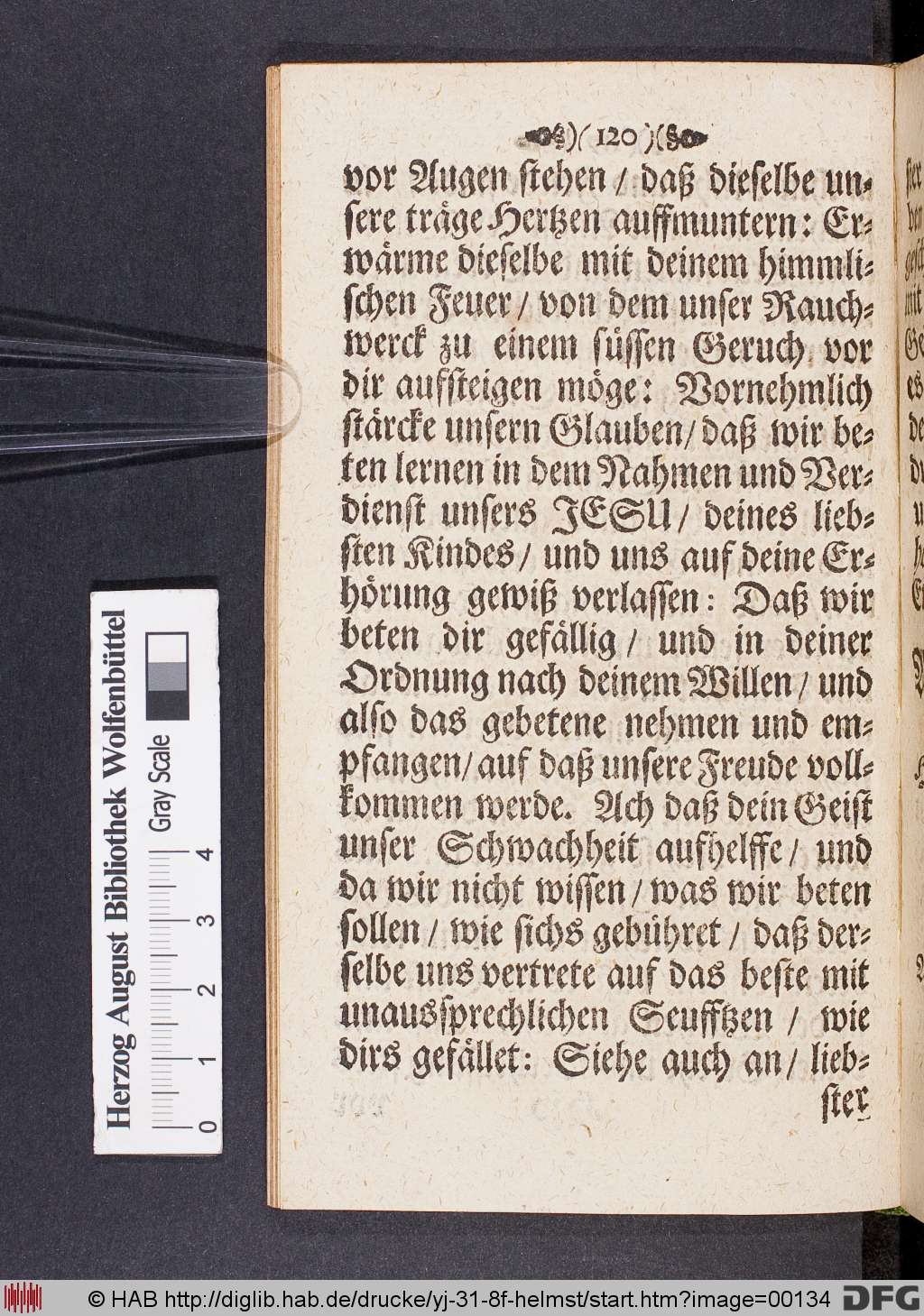 http://diglib.hab.de/drucke/yj-31-8f-helmst/00134.jpg