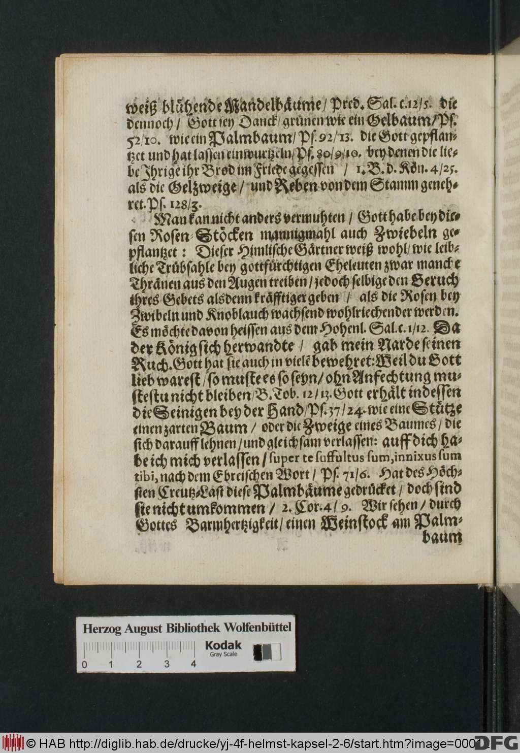 http://diglib.hab.de/drucke/yj-4f-helmst-kapsel-2-6/00012.jpg