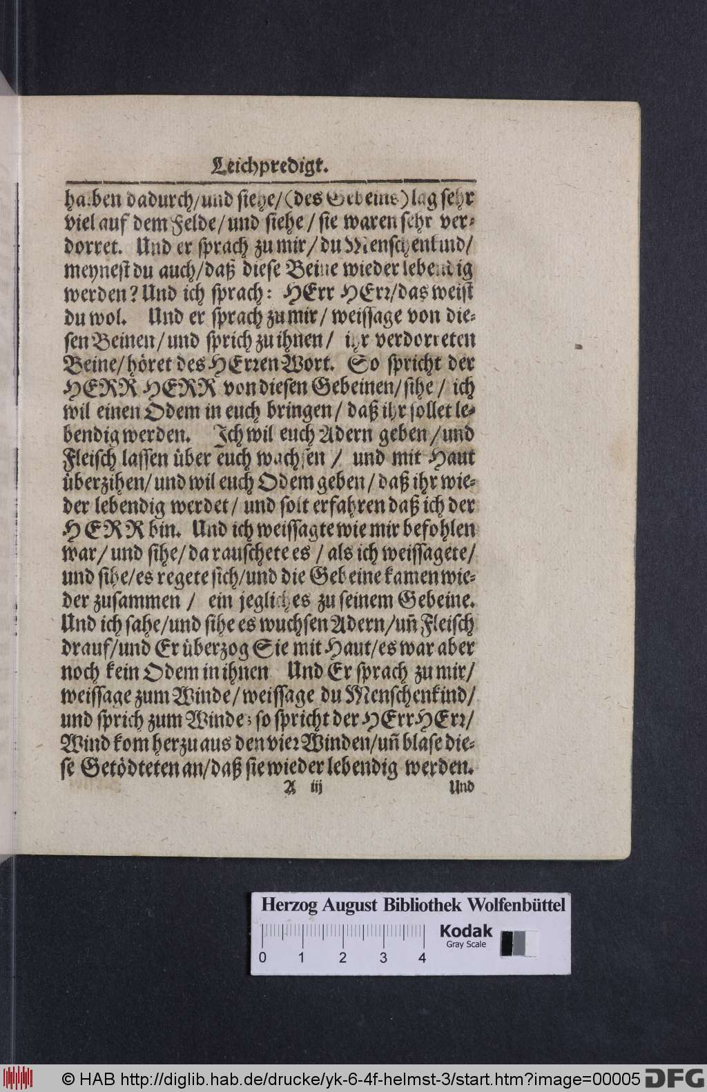 http://diglib.hab.de/drucke/yk-6-4f-helmst-3/00005.jpg
