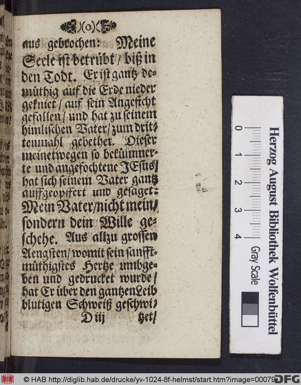 http://diglib.hab.de/drucke/yv-1024-8f-helmst/00079.jpg