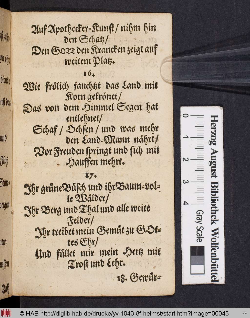 http://diglib.hab.de/drucke/yv-1043-8f-helmst/00043.jpg