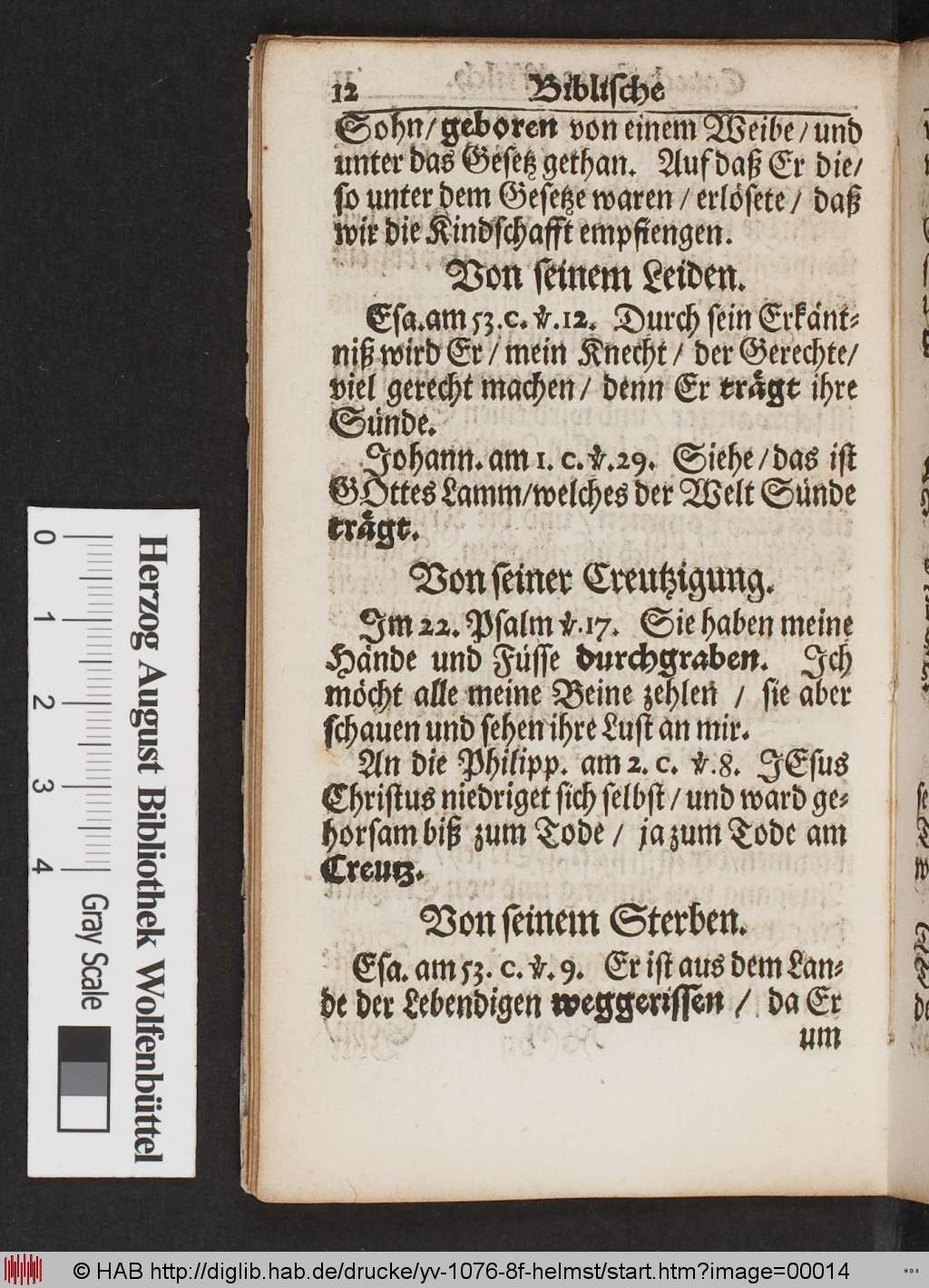 http://diglib.hab.de/drucke/yv-1076-8f-helmst/00014.jpg