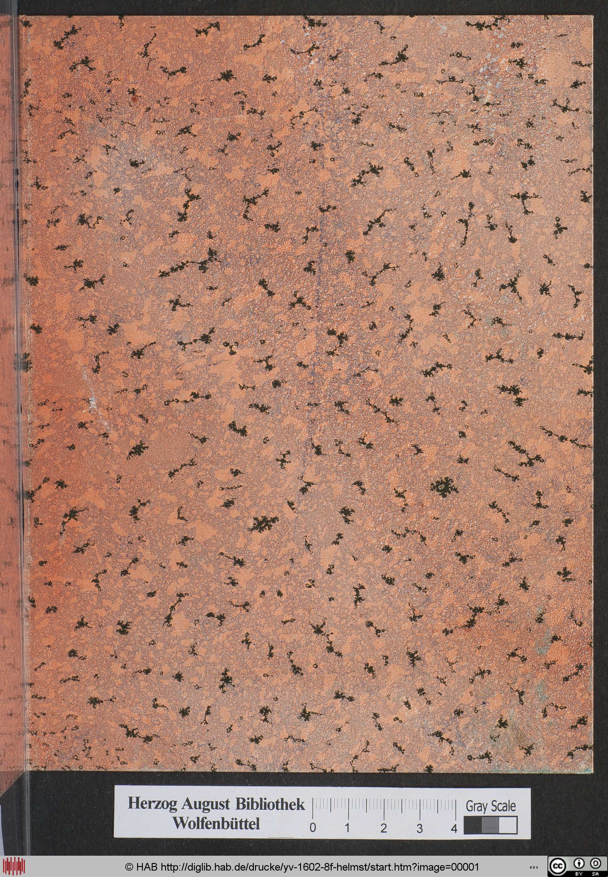 http://diglib.hab.de/drucke/yv-1602-8f-helmst/max/00001.jpg