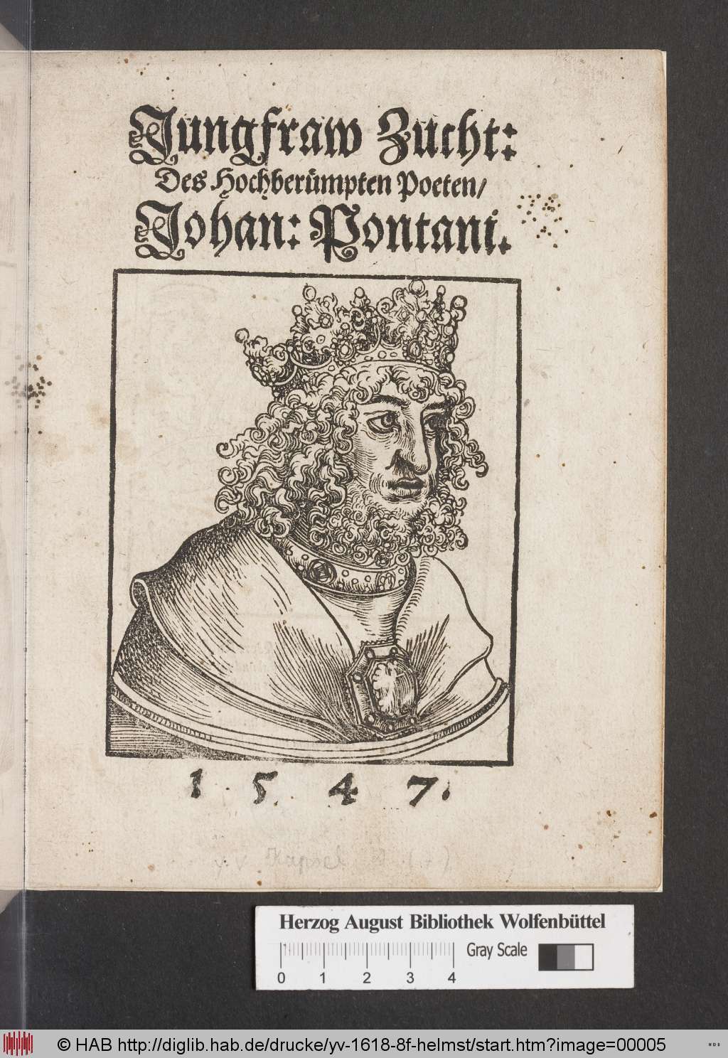 http://diglib.hab.de/drucke/yv-1618-8f-helmst/00005.jpg