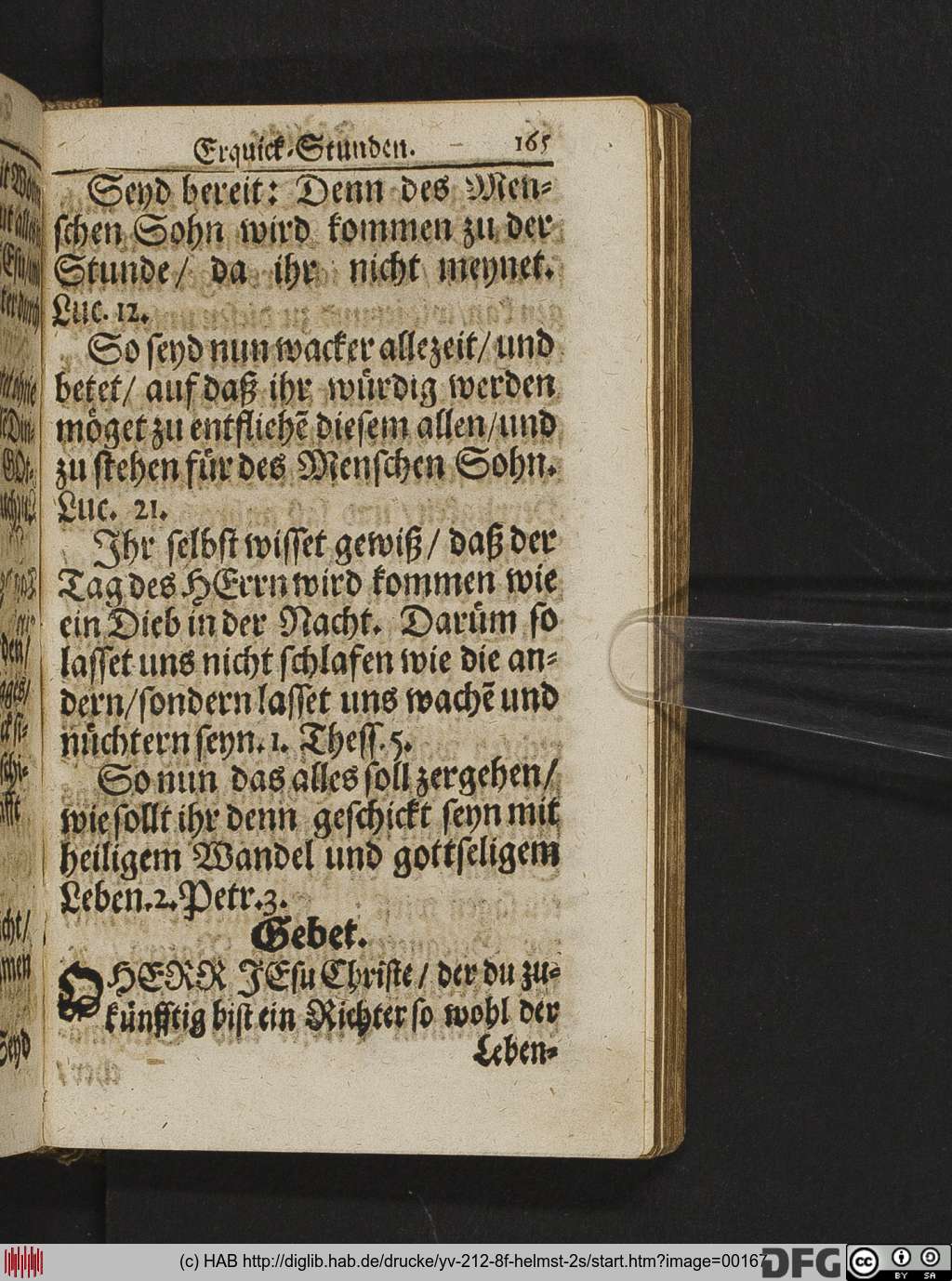 http://diglib.hab.de/drucke/yv-212-8f-helmst-2s/00167.jpg