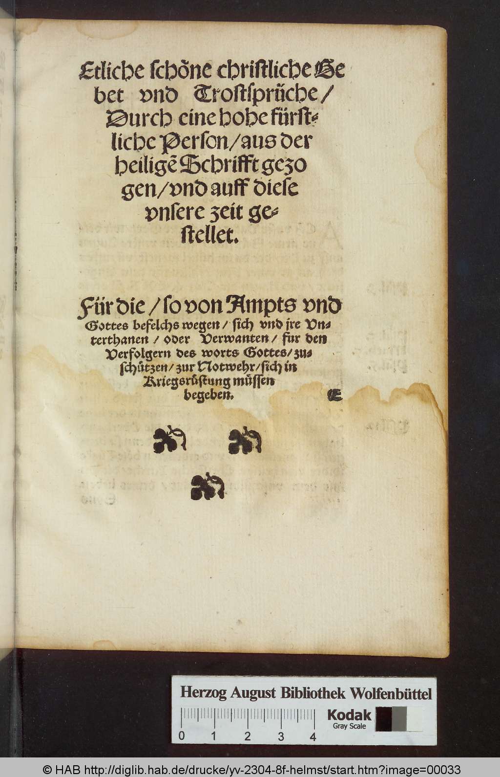 http://diglib.hab.de/drucke/yv-2304-8f-helmst/00033.jpg
