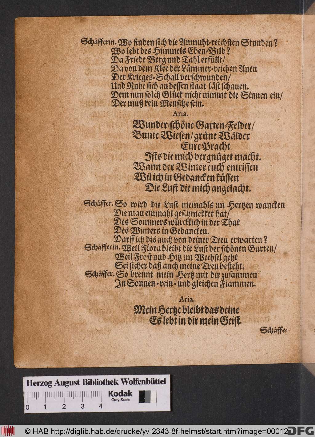http://diglib.hab.de/drucke/yv-2343-8f-helmst/00012.jpg