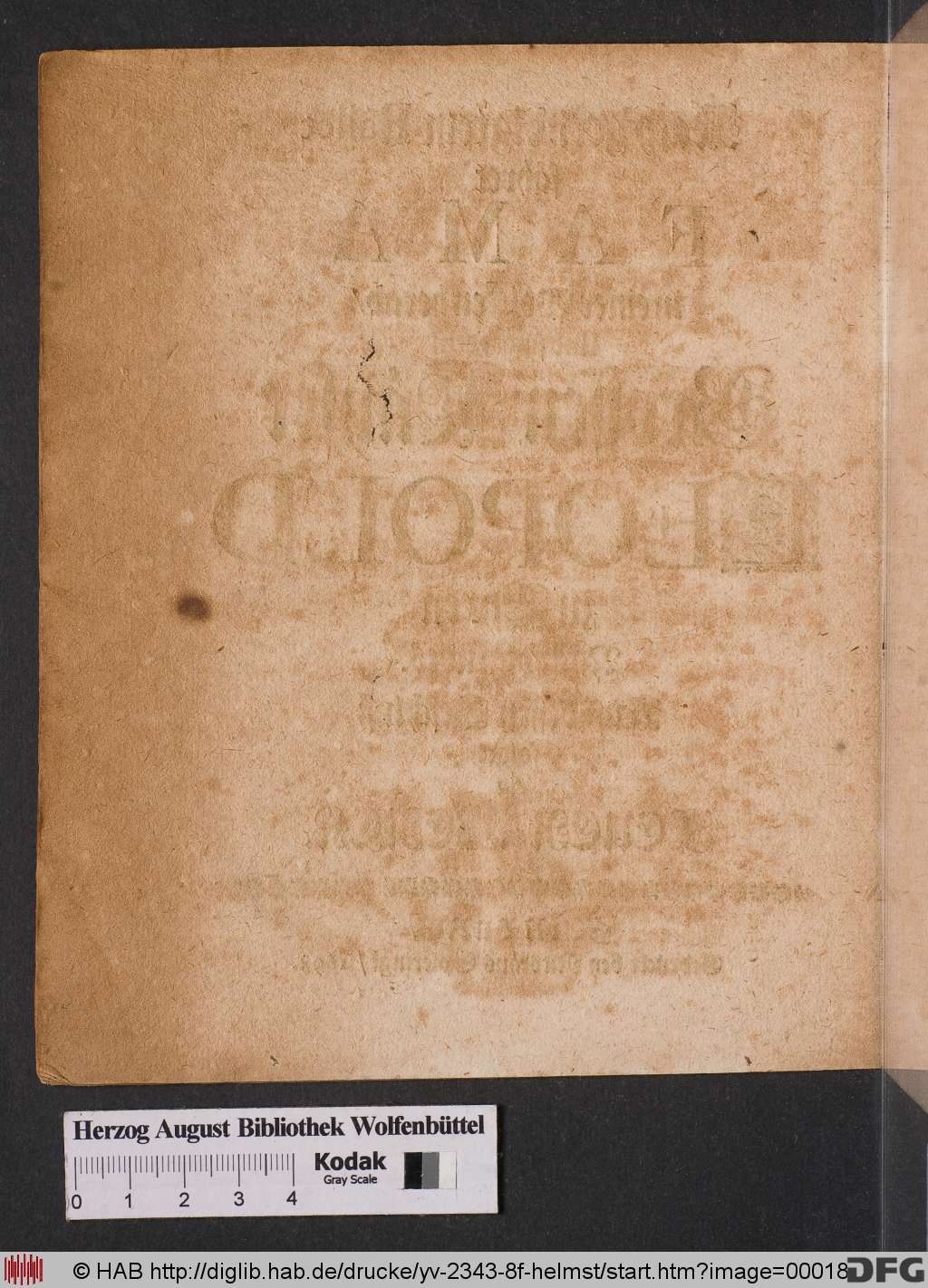http://diglib.hab.de/drucke/yv-2343-8f-helmst/00018.jpg