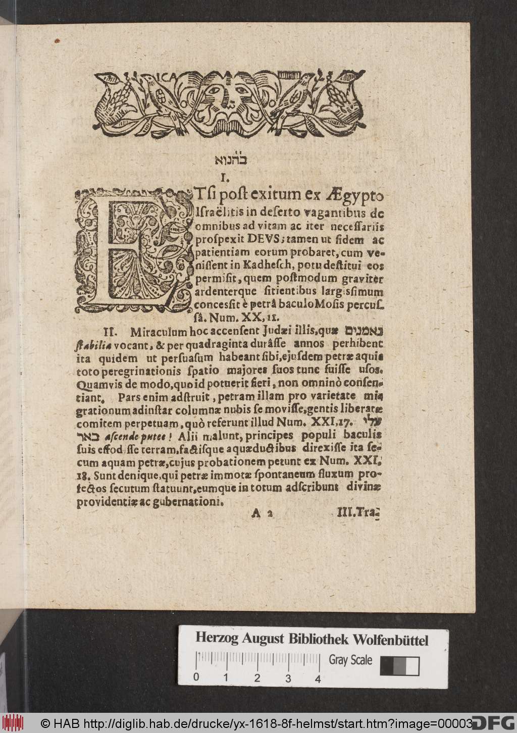 http://diglib.hab.de/drucke/yx-1618-8f-helmst/00003.jpg