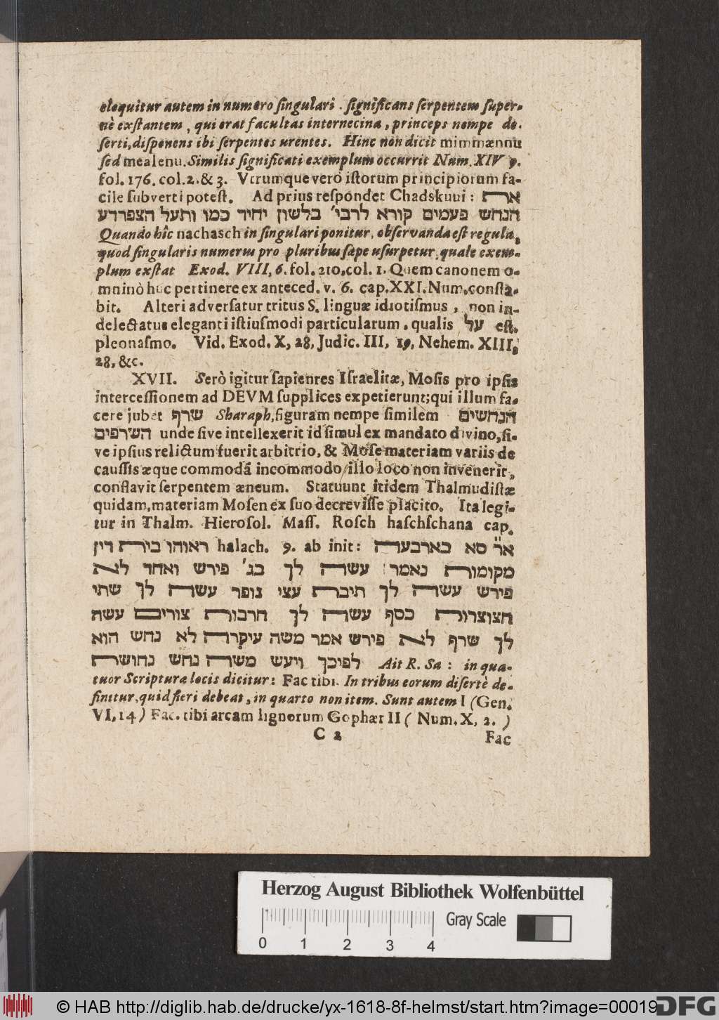 http://diglib.hab.de/drucke/yx-1618-8f-helmst/00019.jpg
