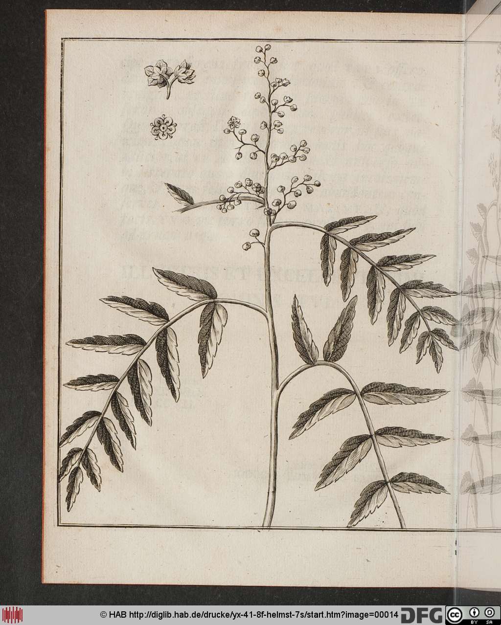 http://diglib.hab.de/drucke/yx-41-8f-helmst-7s/00014.jpg
