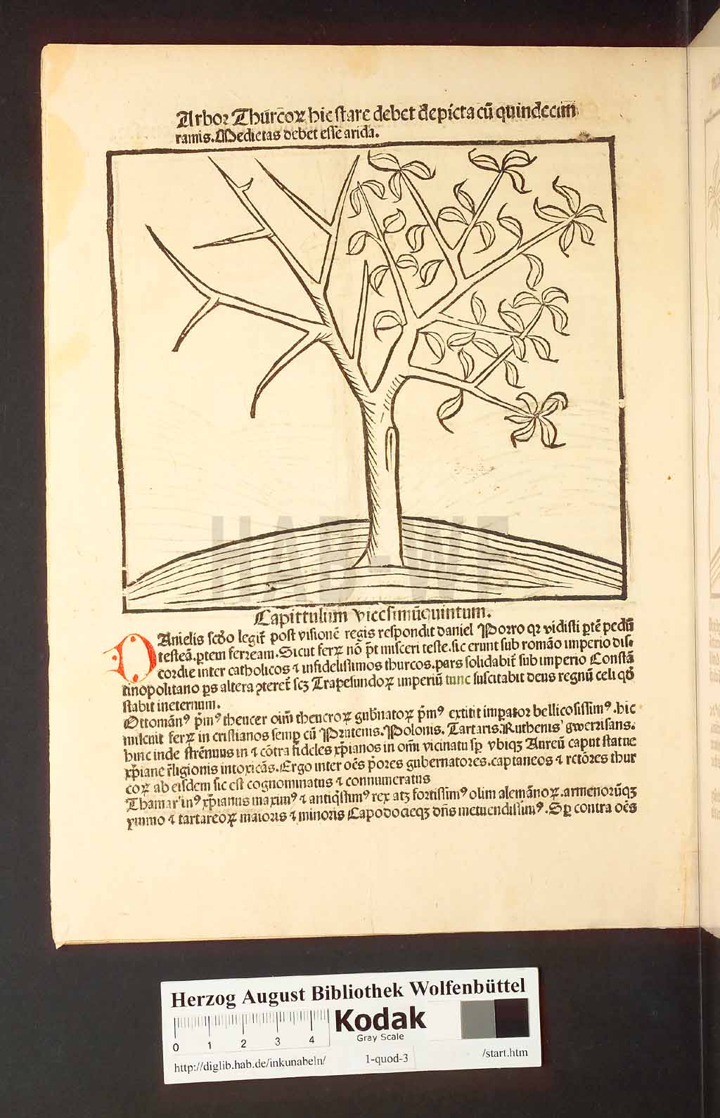 http://diglib.hab.de/inkunabeln/1-quod-3/00044.jpg