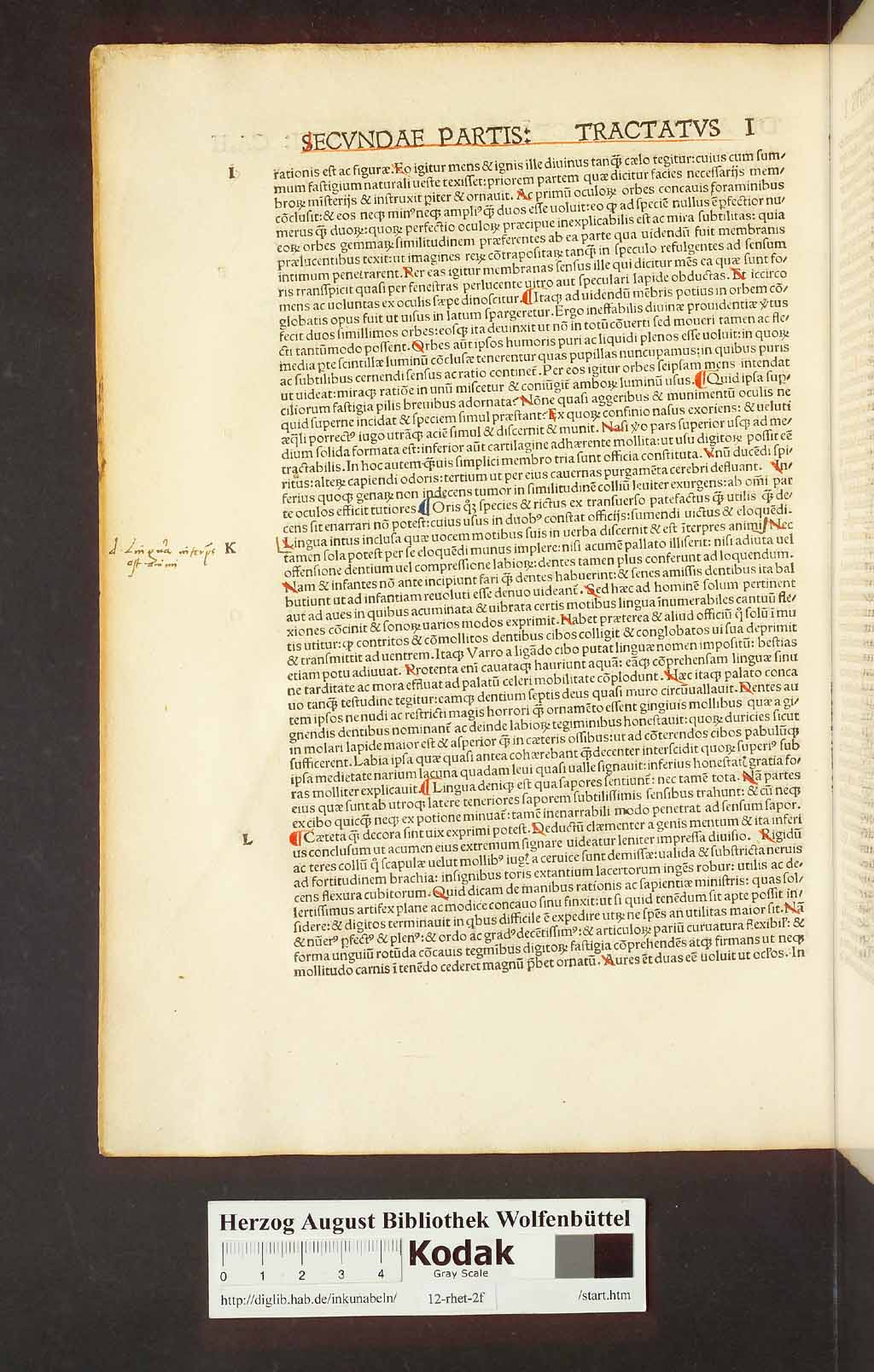 http://diglib.hab.de/inkunabeln/12-rhet-2f/00266.jpg