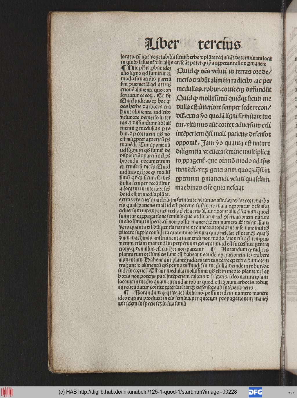http://diglib.hab.de/inkunabeln/125-1-quod-1/00228.jpg