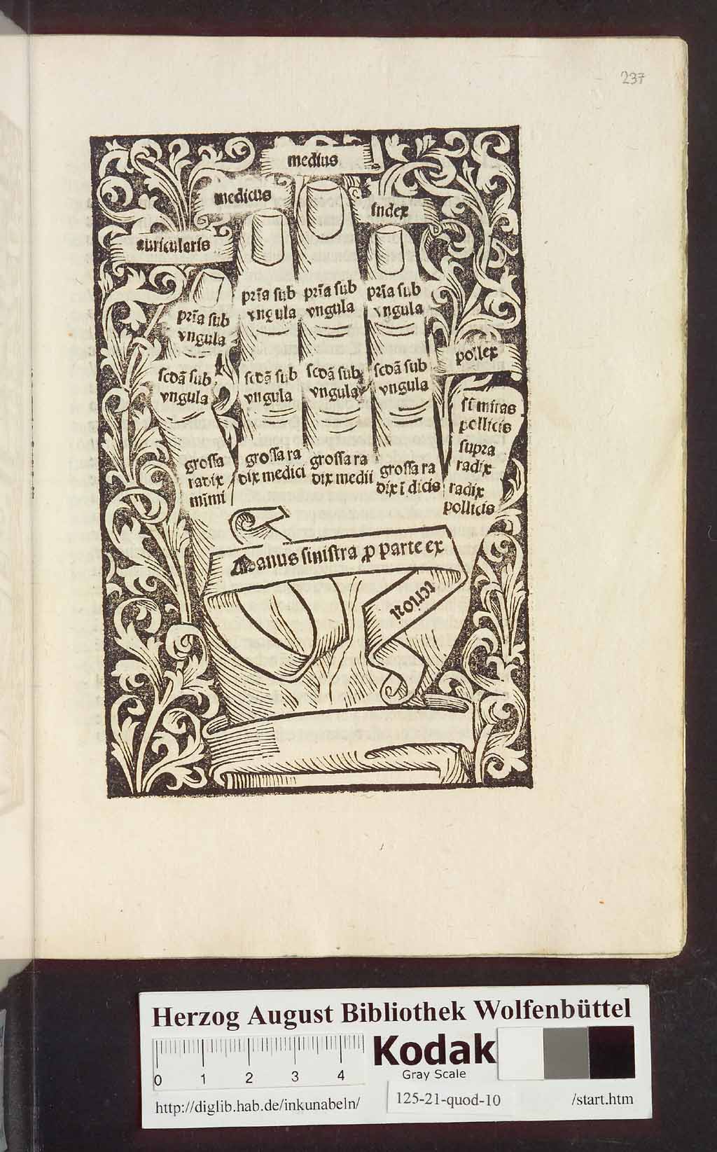 http://diglib.hab.de/inkunabeln/125-21-quod-10/00011.jpg
