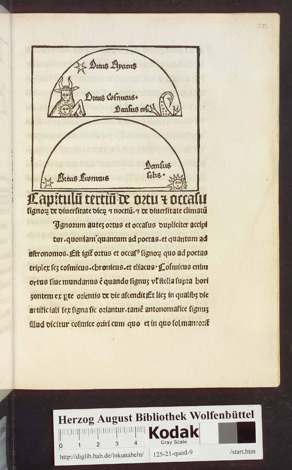 http://diglib.hab.de/inkunabeln/125-21-quod-9/00031.jpg