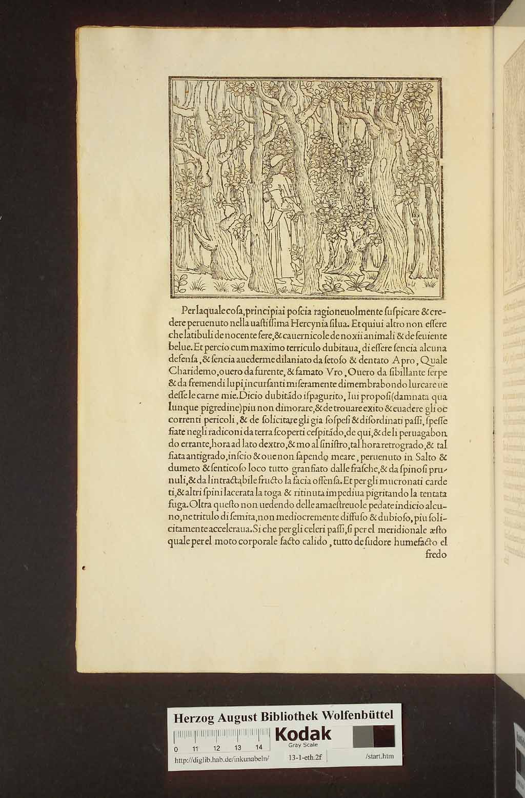 http://diglib.hab.de/inkunabeln/13-1-eth-2f/00018.jpg