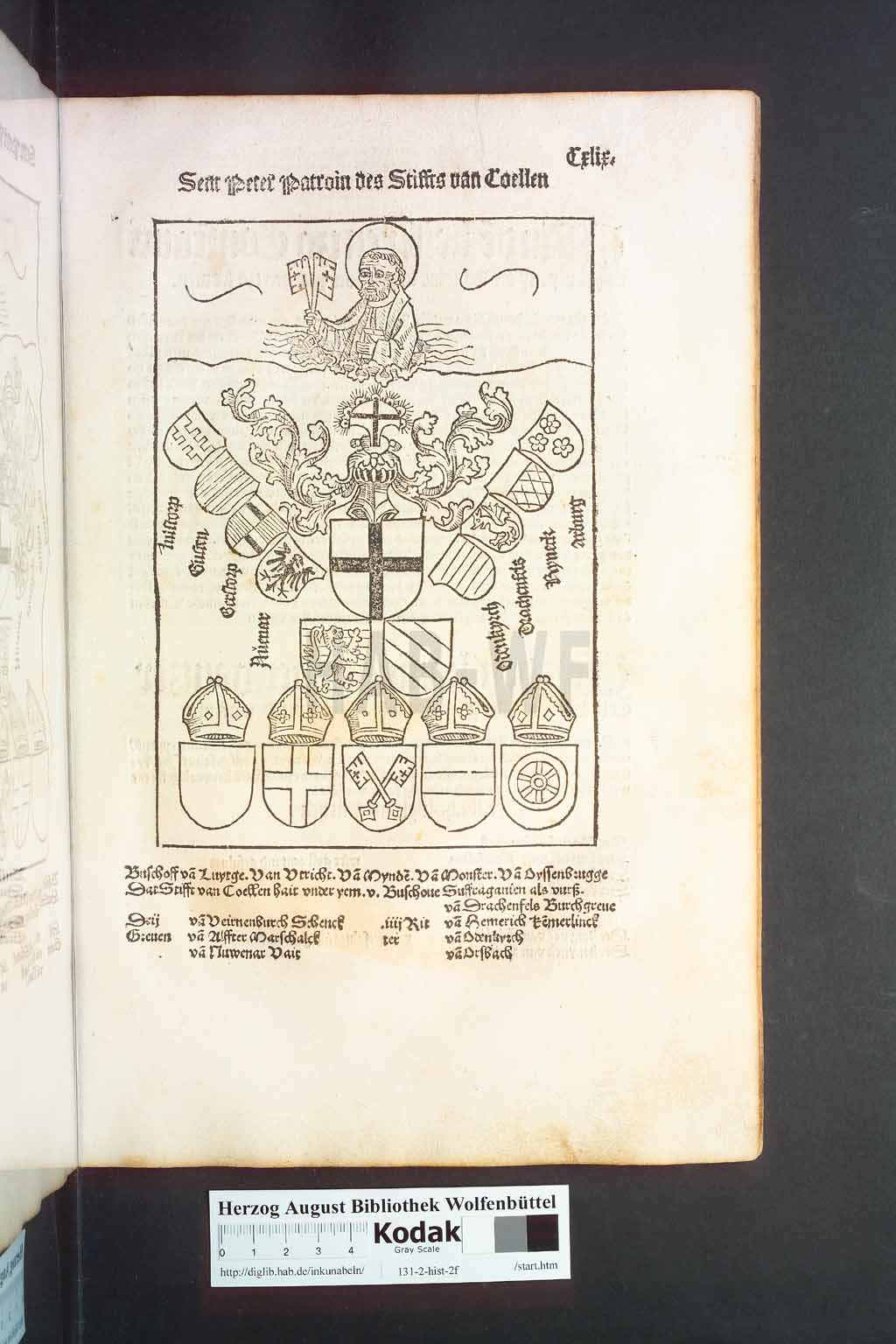 http://diglib.hab.de/inkunabeln/131-2-hist-2f/00331.jpg
