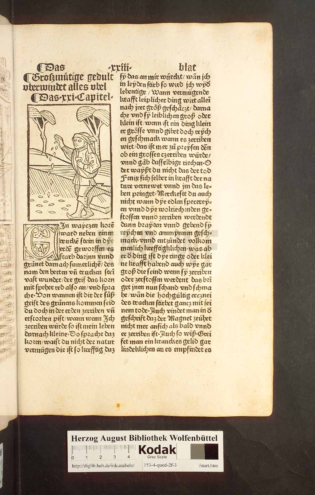 http://diglib.hab.de/inkunabeln/153-4-quod-2f-3/00045.jpg