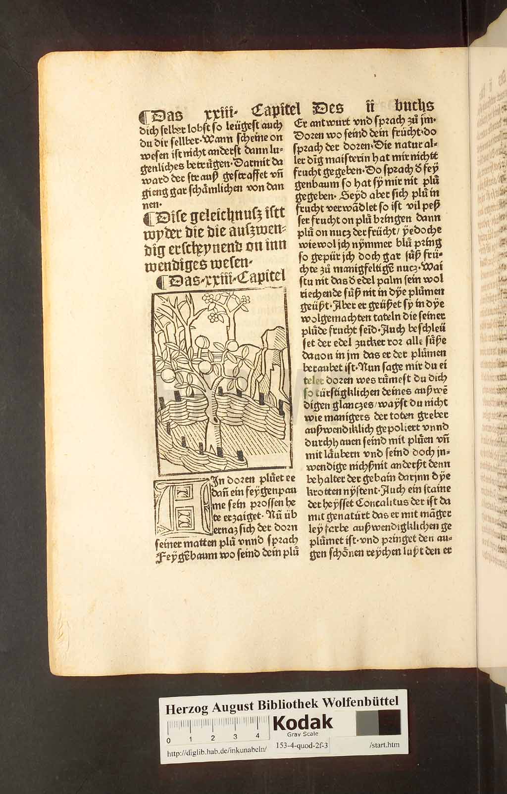 http://diglib.hab.de/inkunabeln/153-4-quod-2f-3/00108.jpg