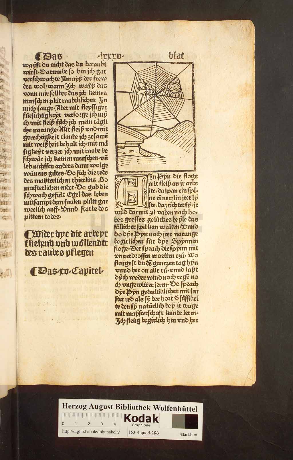 http://diglib.hab.de/inkunabeln/153-4-quod-2f-3/00169.jpg
