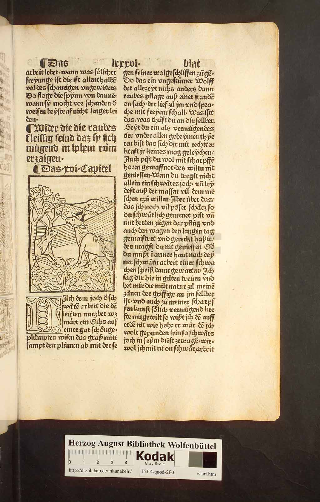 http://diglib.hab.de/inkunabeln/153-4-quod-2f-3/00171.jpg