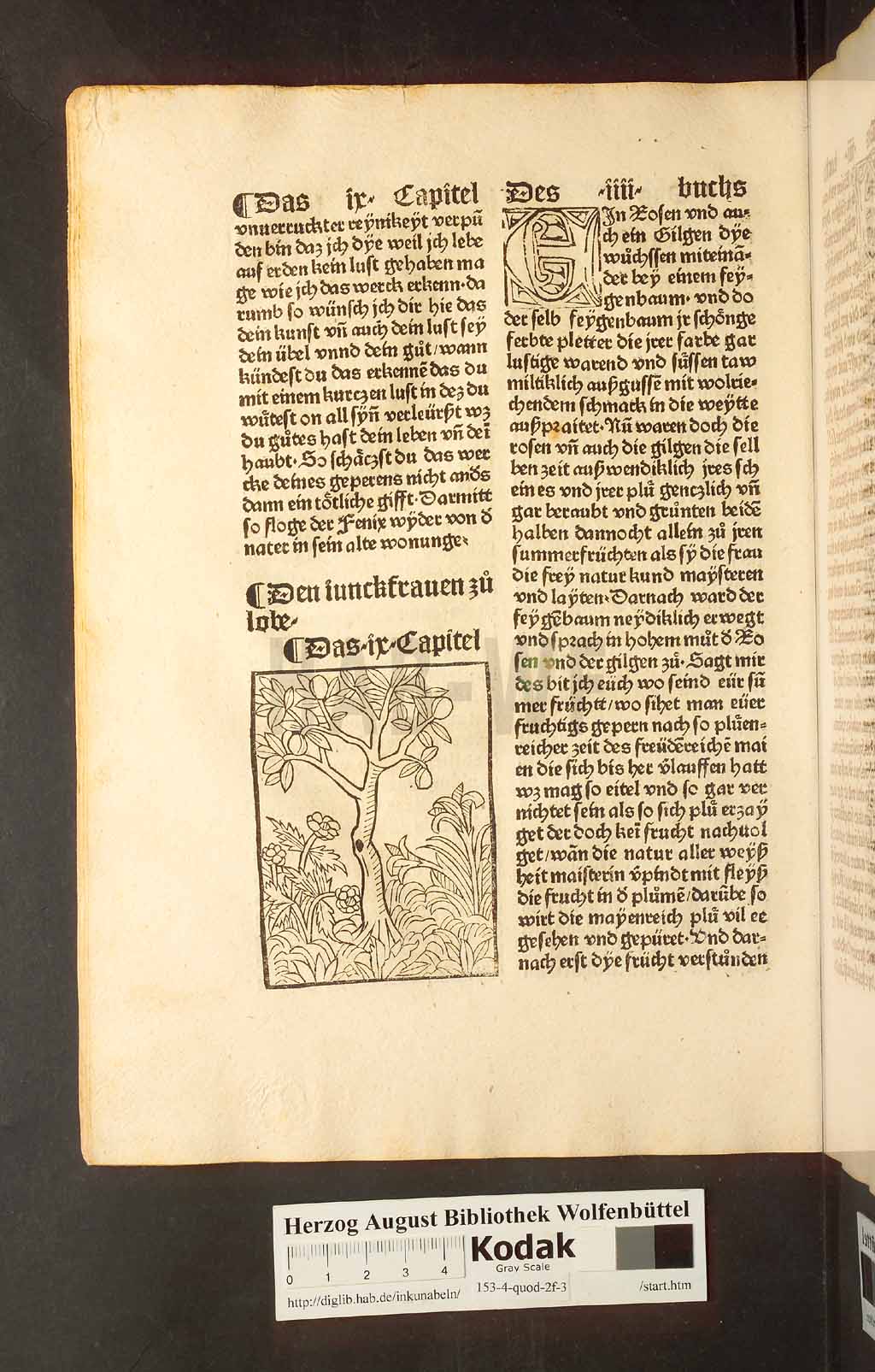 http://diglib.hab.de/inkunabeln/153-4-quod-2f-3/00212.jpg