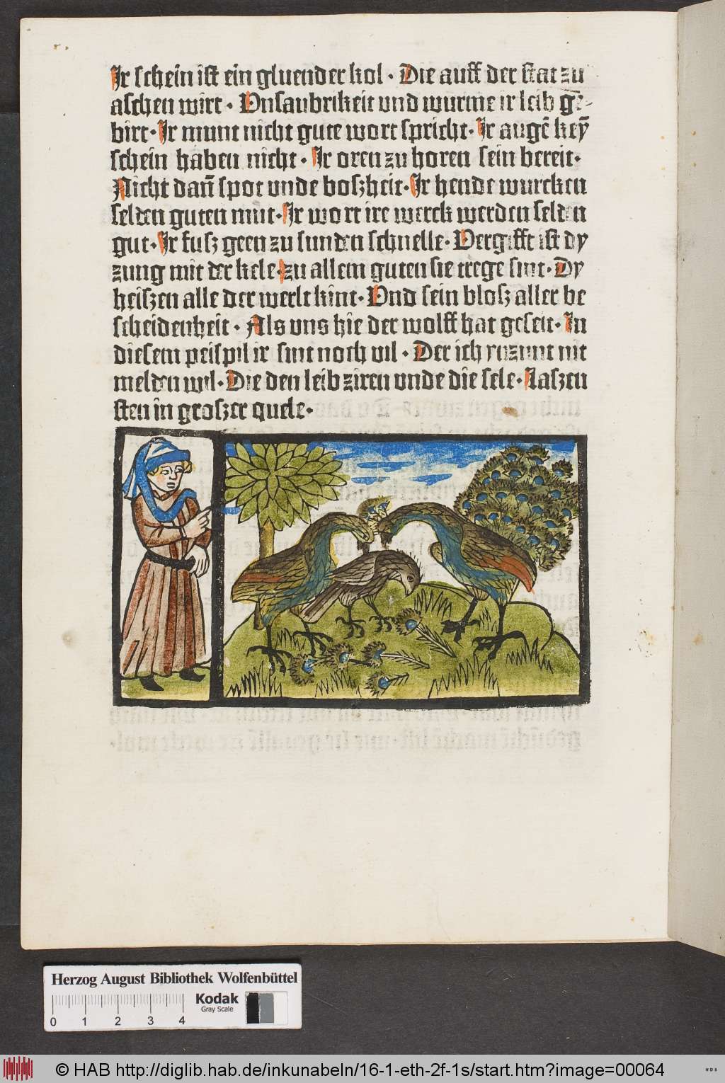 http://diglib.hab.de/inkunabeln/16-1-eth-2f-1s/00064.jpg