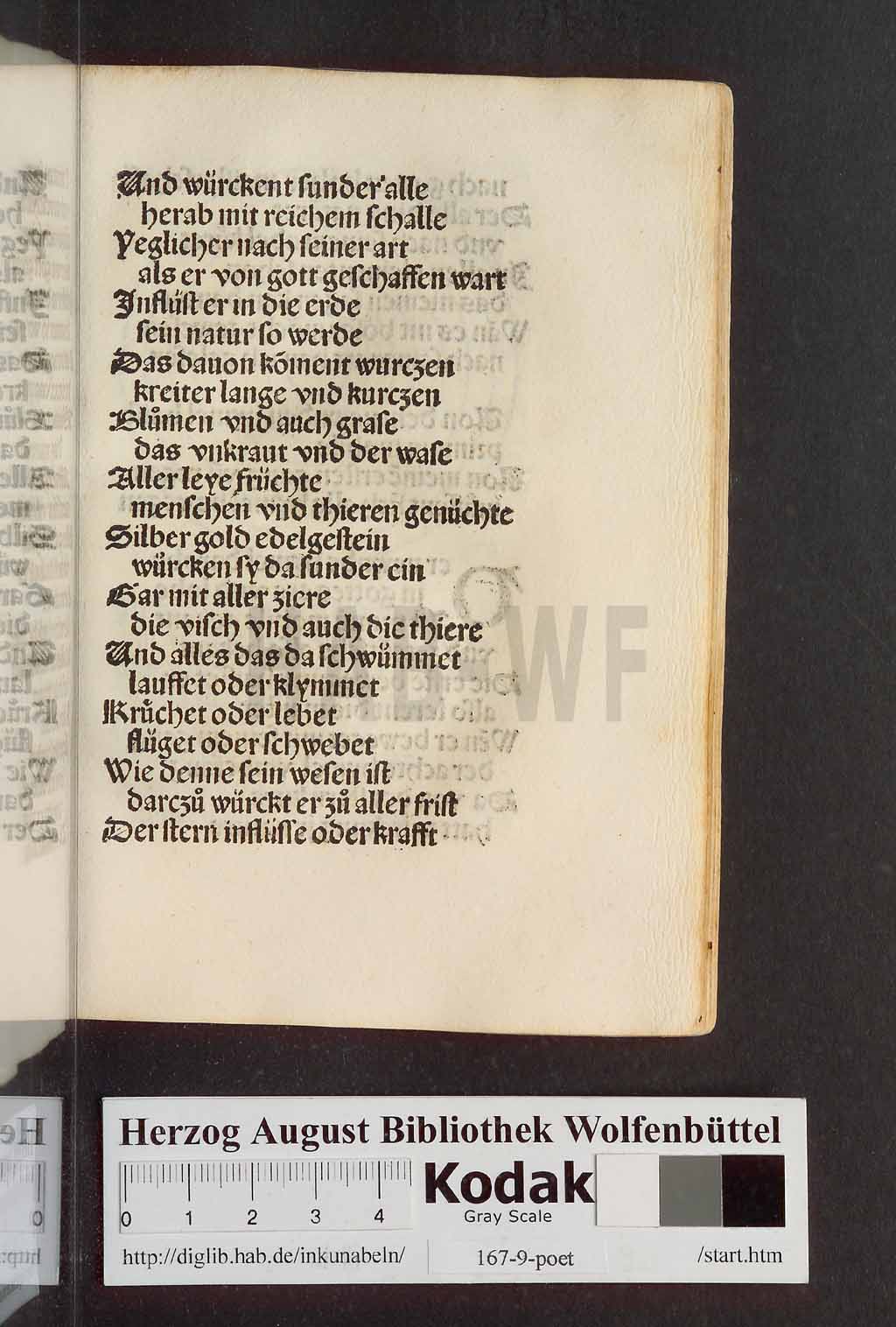 http://diglib.hab.de/inkunabeln/167-9-poet/00113.jpg