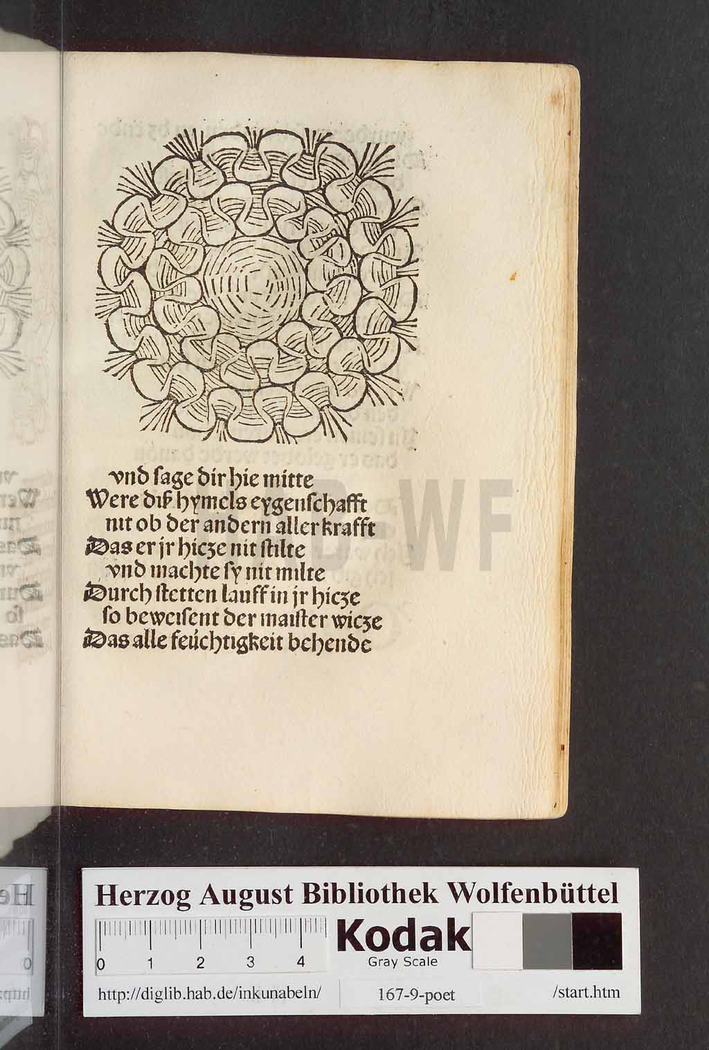 http://diglib.hab.de/inkunabeln/167-9-poet/00117.jpg