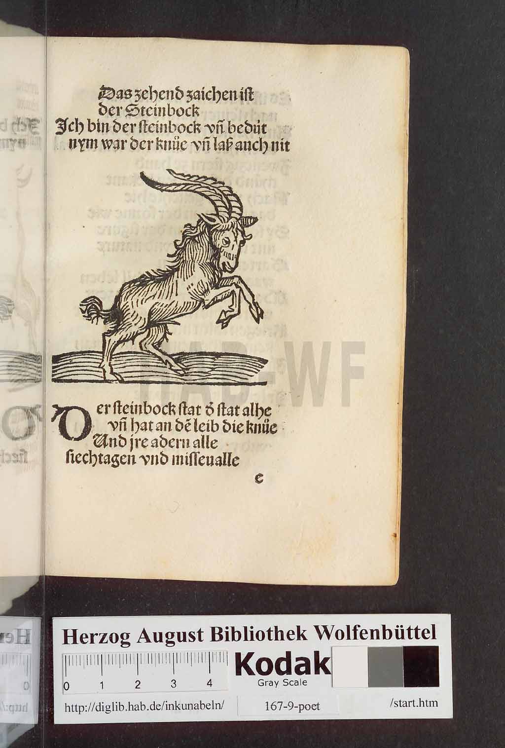 http://diglib.hab.de/inkunabeln/167-9-poet/00151.jpg