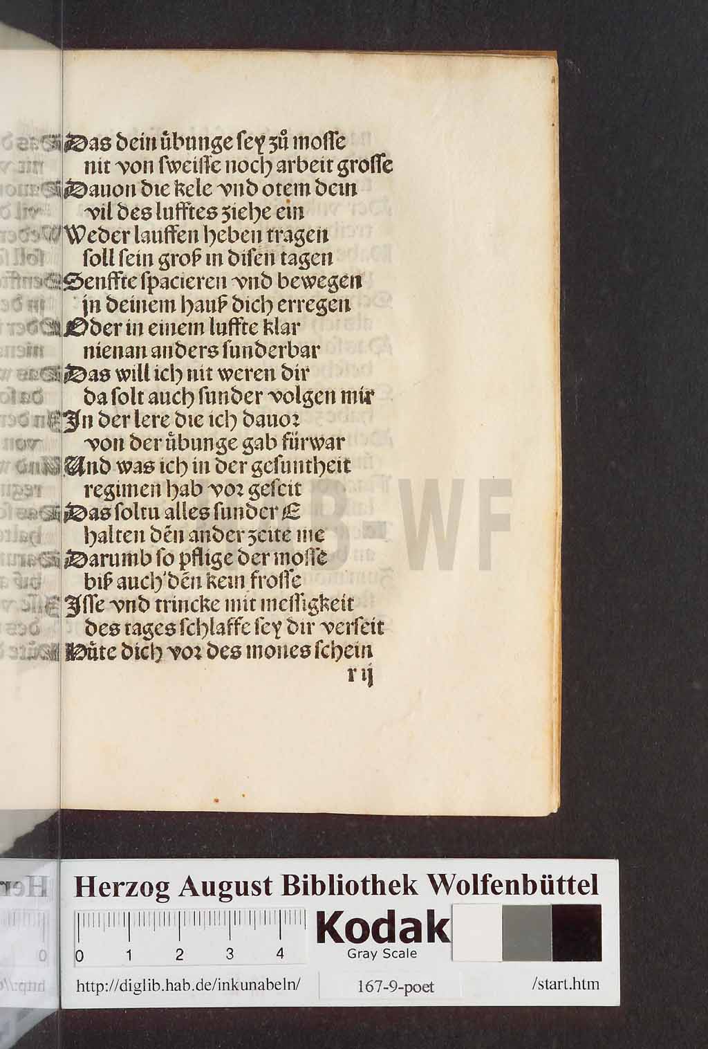 http://diglib.hab.de/inkunabeln/167-9-poet/00345.jpg