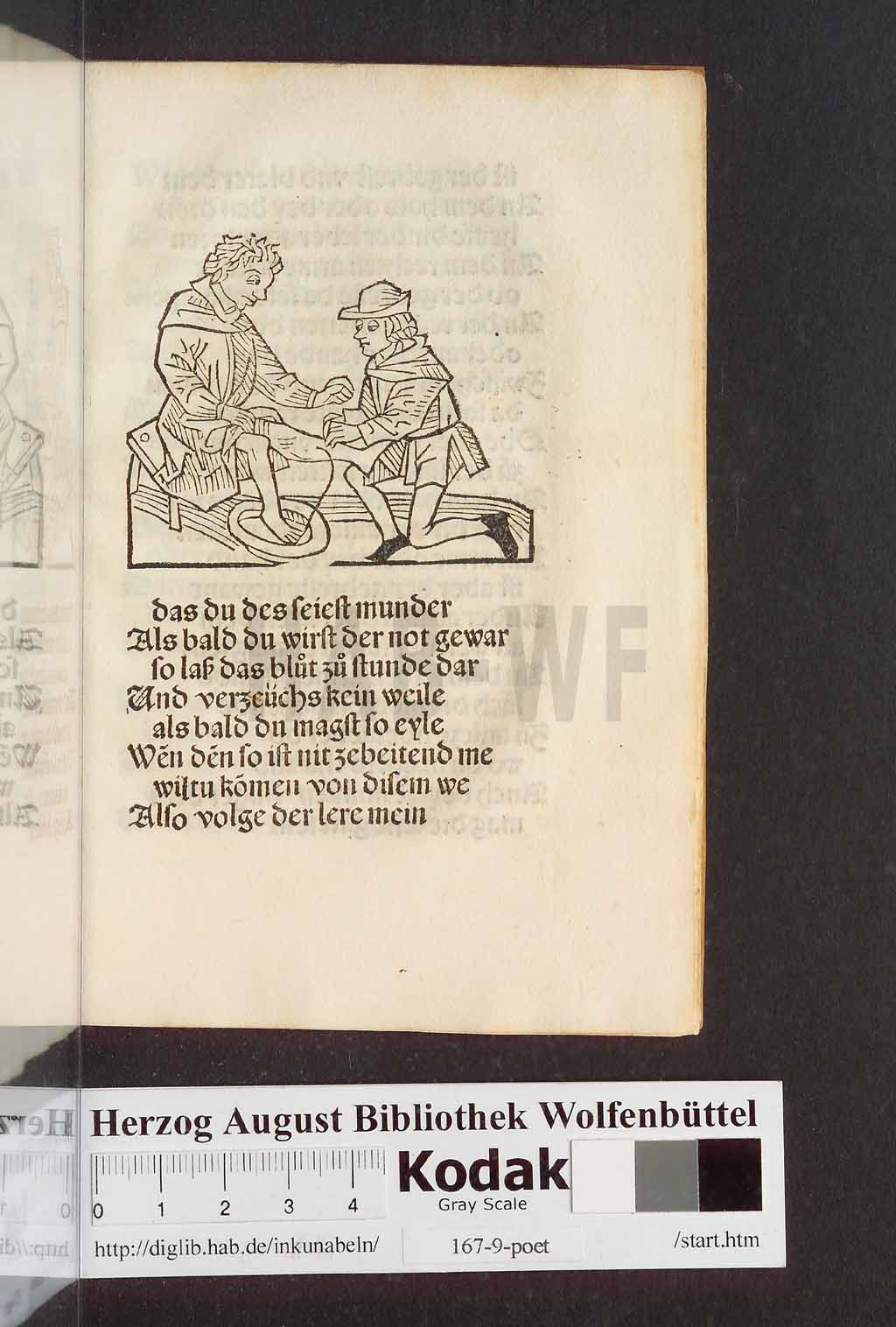 http://diglib.hab.de/inkunabeln/167-9-poet/00355.jpg