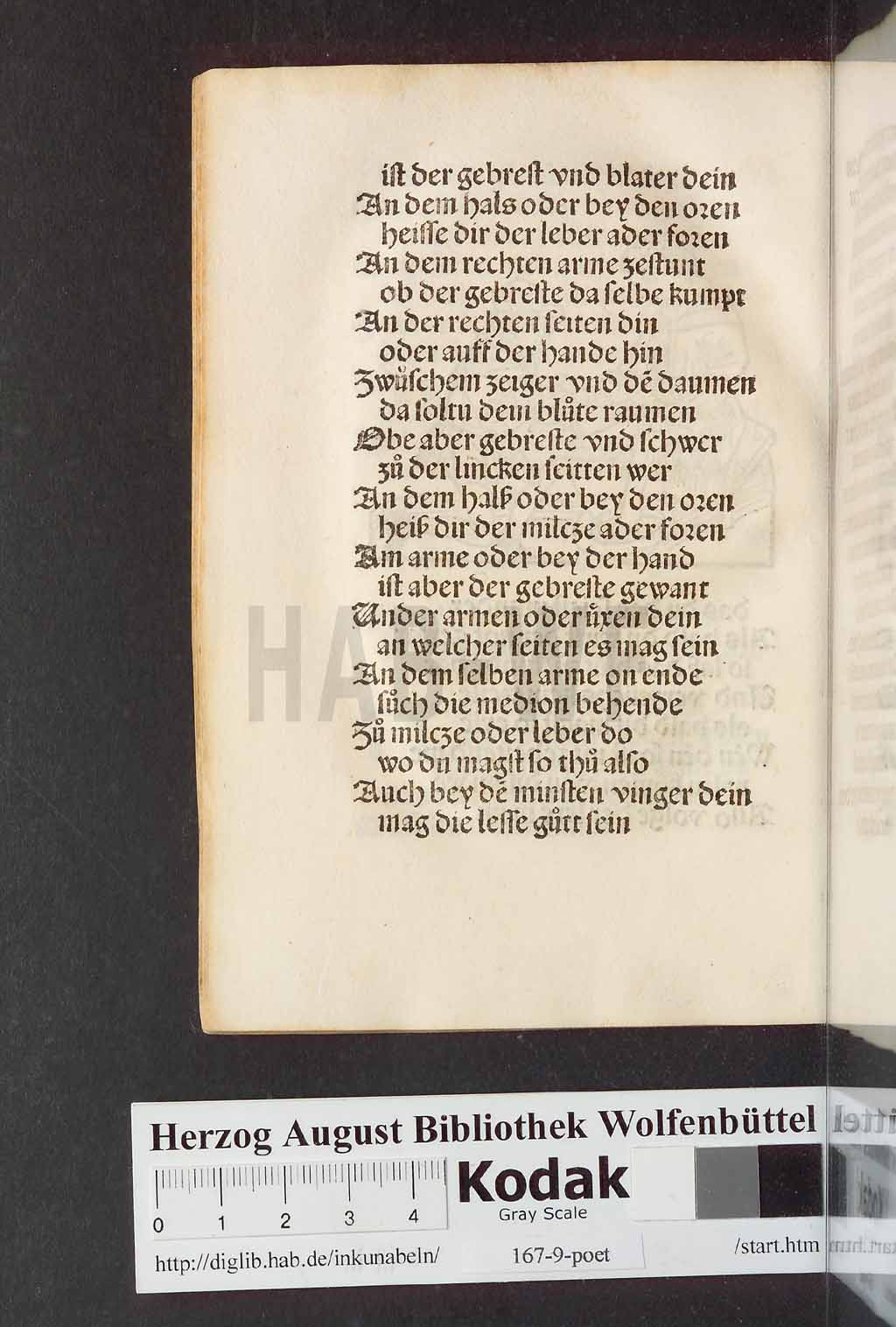 http://diglib.hab.de/inkunabeln/167-9-poet/00356.jpg