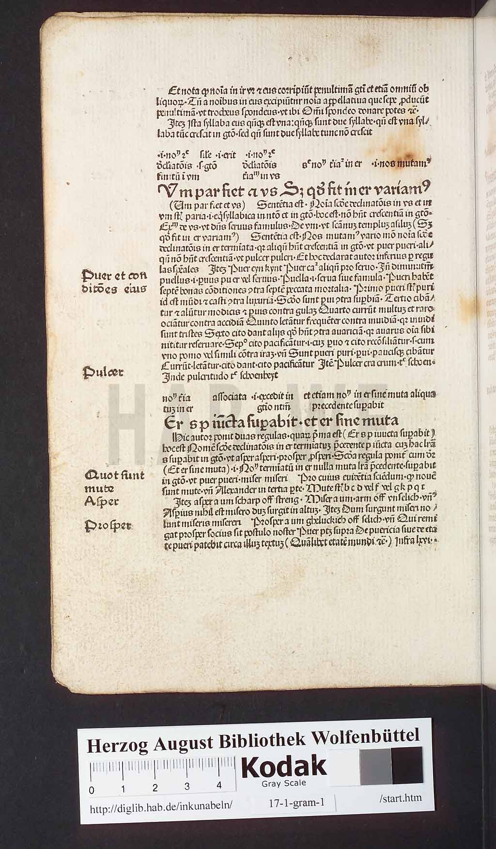 http://diglib.hab.de/inkunabeln/17-1-gram-1/00024.jpg