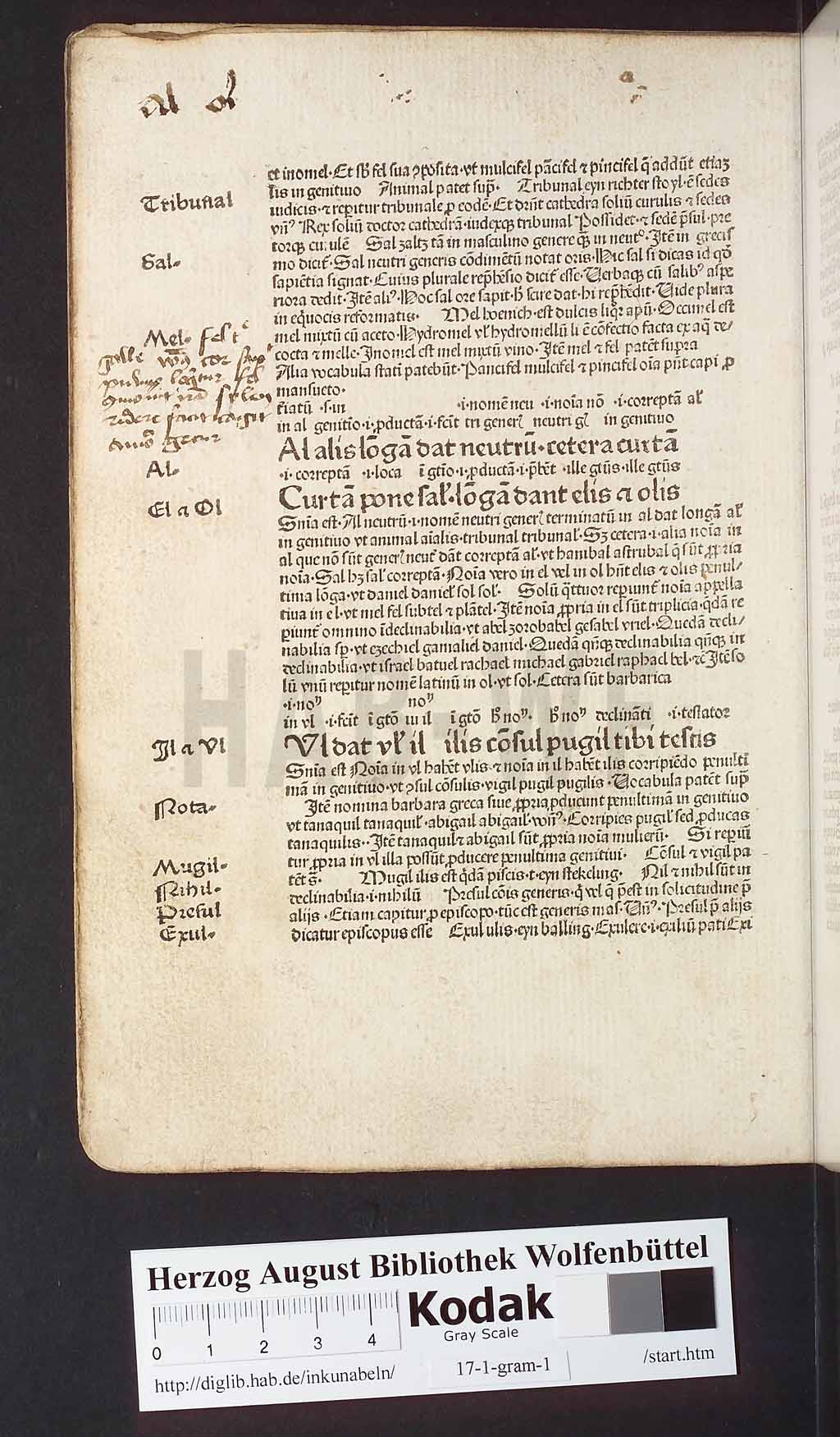 http://diglib.hab.de/inkunabeln/17-1-gram-1/00048.jpg