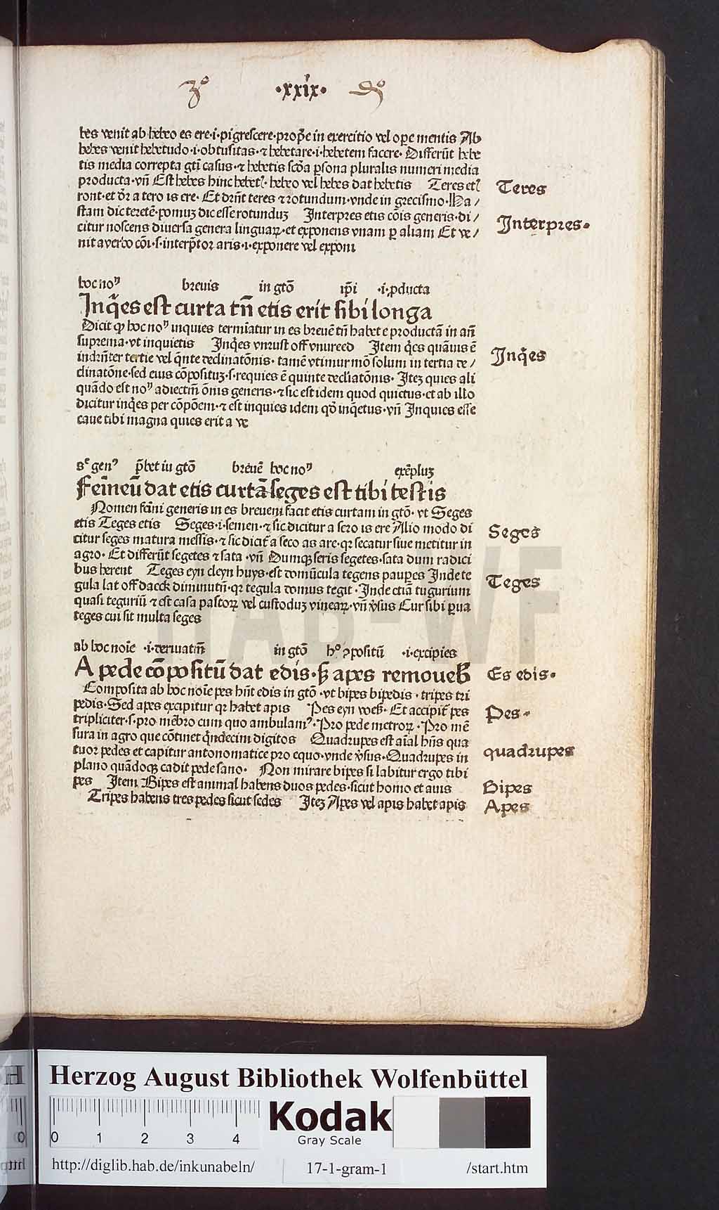 http://diglib.hab.de/inkunabeln/17-1-gram-1/00061.jpg