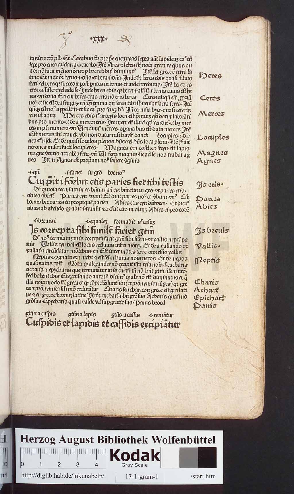 http://diglib.hab.de/inkunabeln/17-1-gram-1/00063.jpg