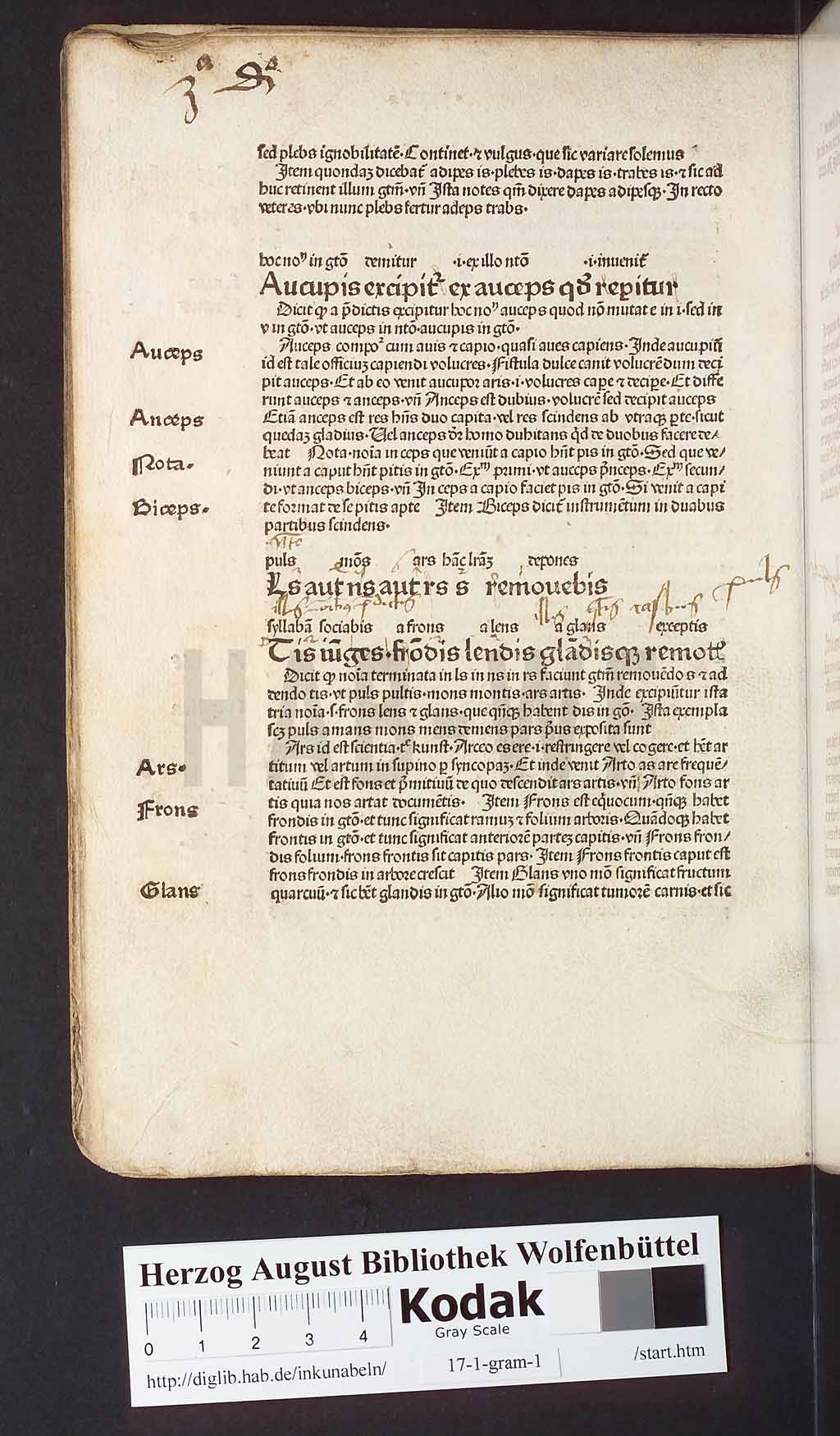 http://diglib.hab.de/inkunabeln/17-1-gram-1/00074.jpg