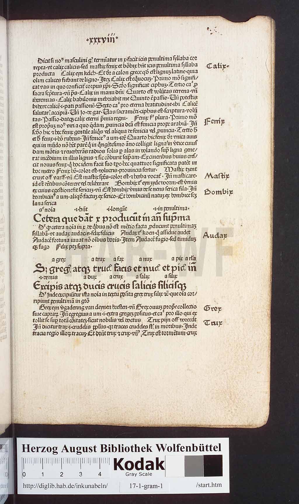 http://diglib.hab.de/inkunabeln/17-1-gram-1/00079.jpg