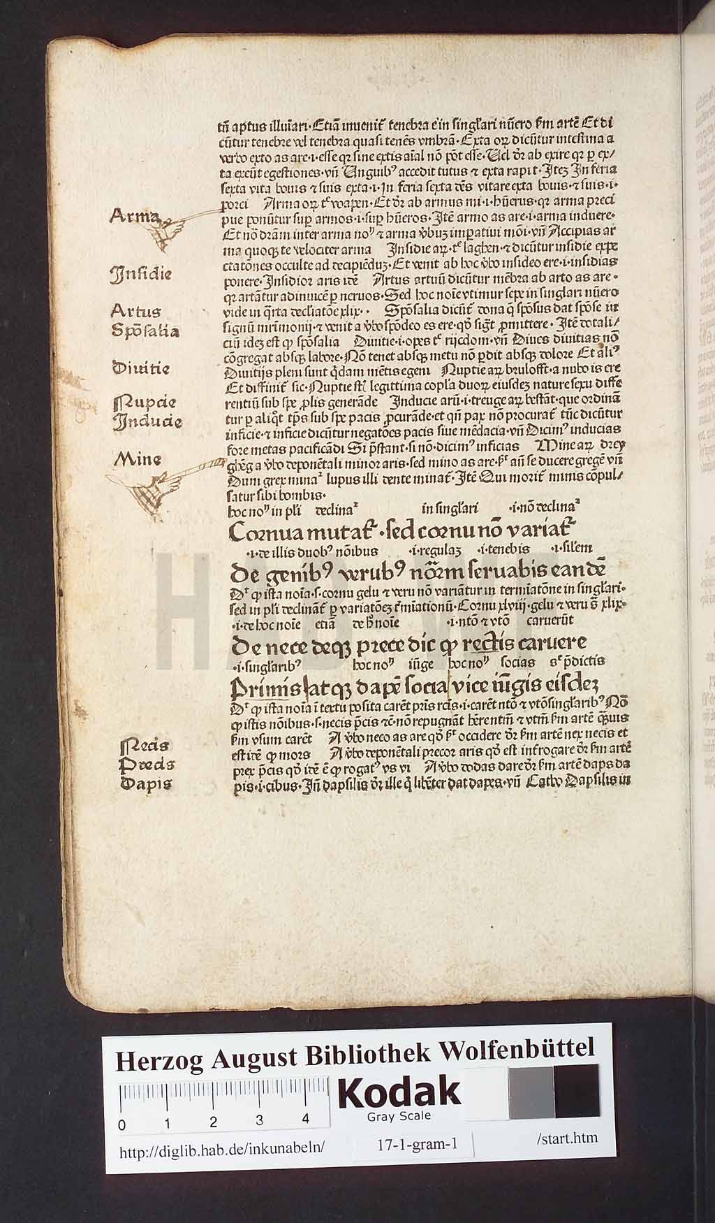 http://diglib.hab.de/inkunabeln/17-1-gram-1/00132.jpg
