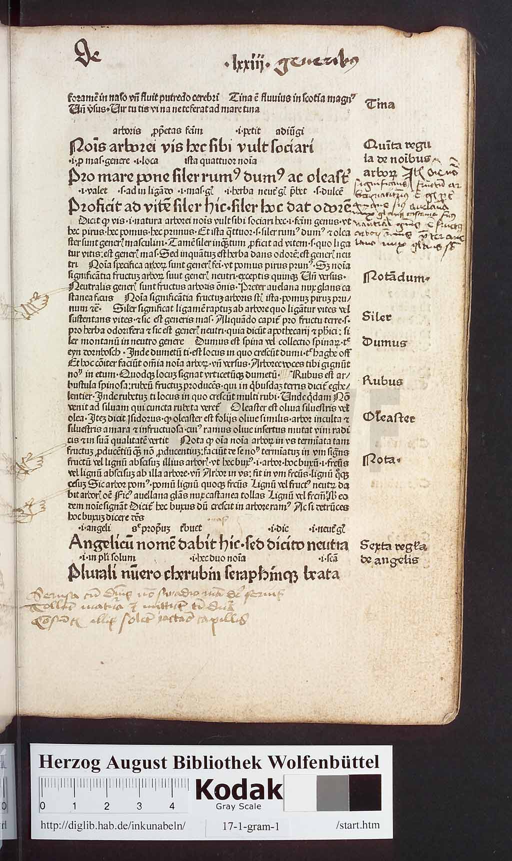 http://diglib.hab.de/inkunabeln/17-1-gram-1/00149.jpg