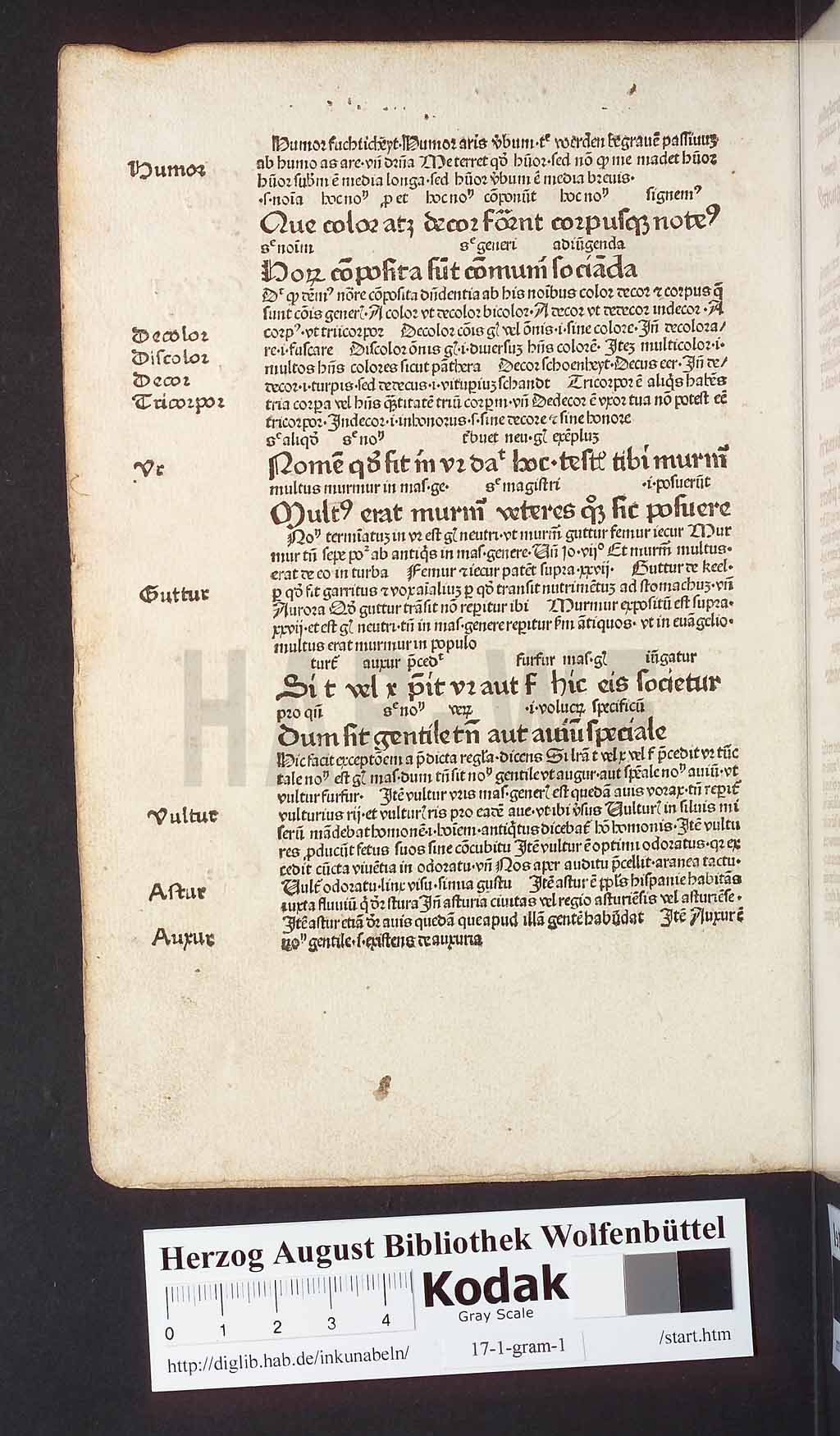 http://diglib.hab.de/inkunabeln/17-1-gram-1/00168.jpg