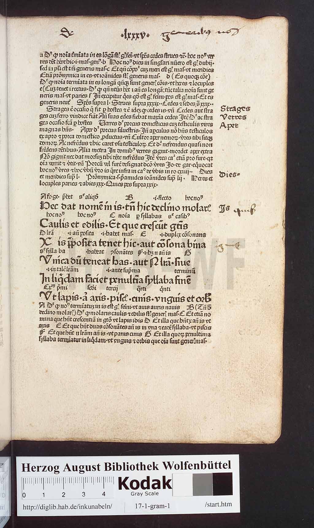 http://diglib.hab.de/inkunabeln/17-1-gram-1/00173.jpg