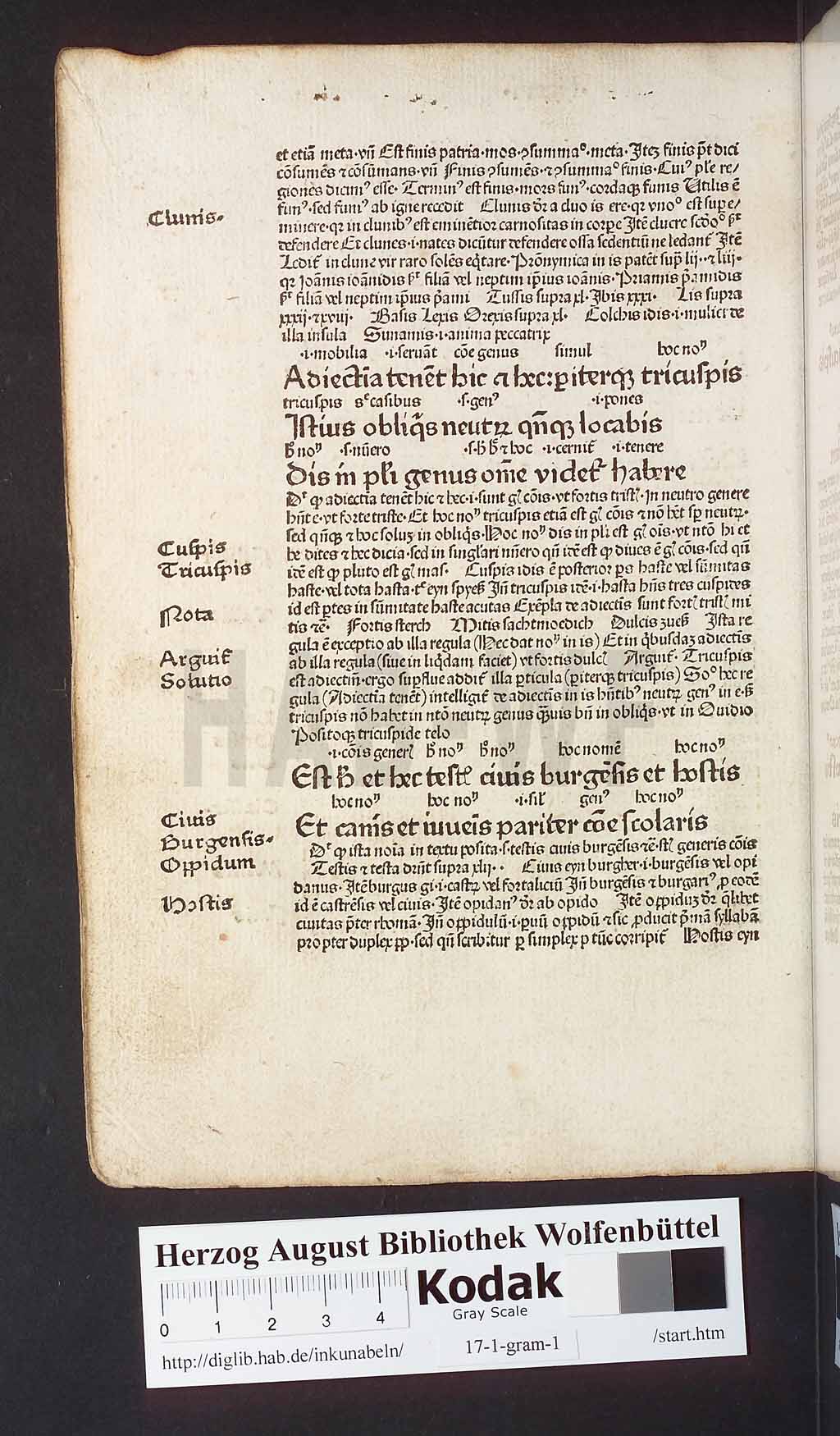 http://diglib.hab.de/inkunabeln/17-1-gram-1/00176.jpg