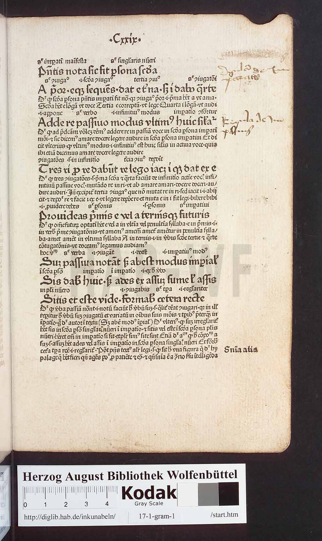 http://diglib.hab.de/inkunabeln/17-1-gram-1/00261.jpg